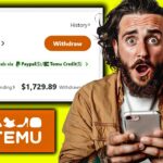 How I Made $3,989 My FIRST Month With The TEMU Affiliate Program