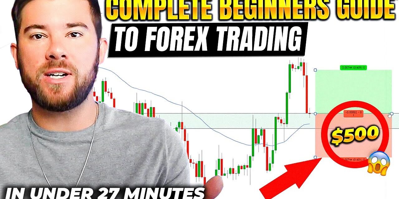 Forex Trading For Beginners (In Under 27 Minutes…)