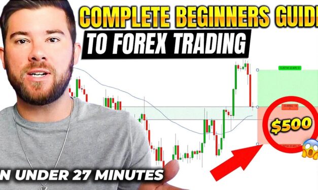 Forex Trading For Beginners (In Under 27 Minutes…)