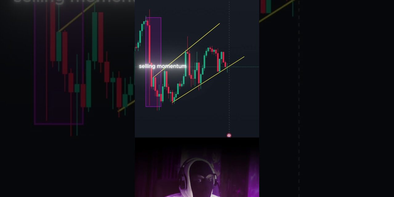 The Best Forex Trading Tips for Beginners