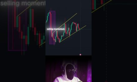 The Best Forex Trading Tips for Beginners