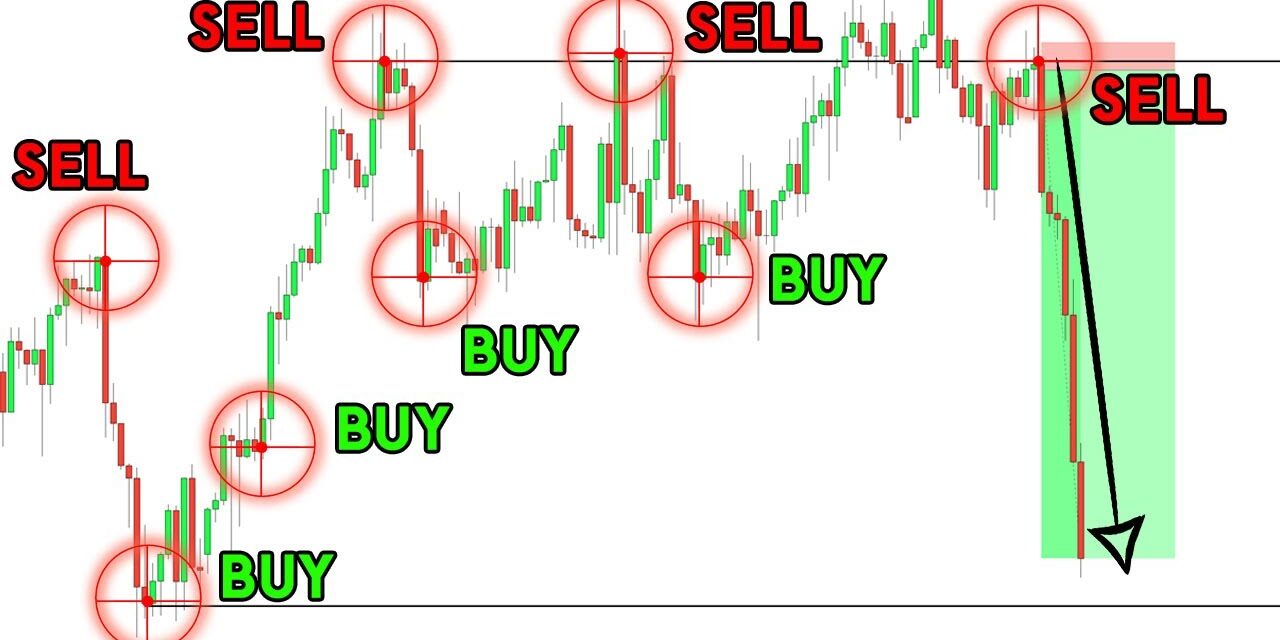 The ONLY FOREX Trading Strategy You Will EVER Need