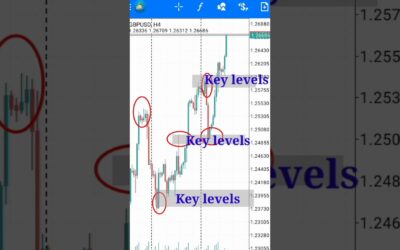 How to spot key levels in Forex Market MT4 chart #forex #shortsfeed #shorts