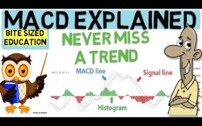 MACD INDICATOR EXPLAINED (Trade with the trend)