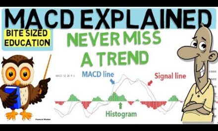 MACD INDICATOR EXPLAINED (Trade with the trend)