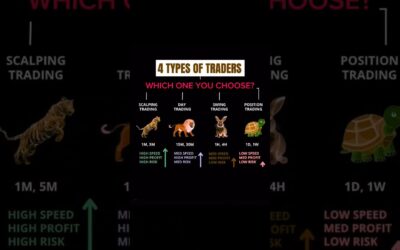 4 Types Of Traders #fx #motivation #millionaire #daytrader #trading #stockmarket #forex #crypto