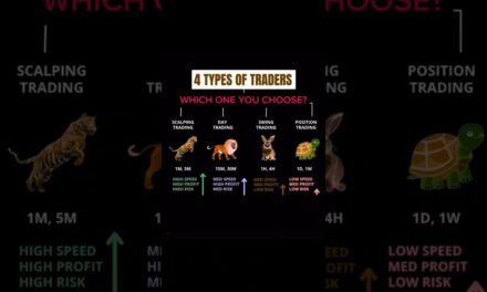 4 Types Of Traders #fx #motivation #millionaire #daytrader #trading #stockmarket #forex #crypto