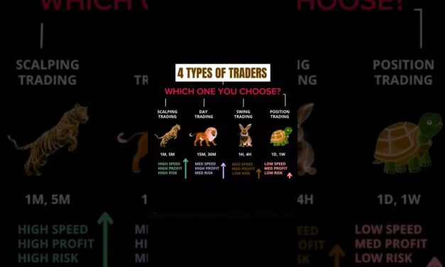 4 Types Of Traders #fx #motivation #millionaire #daytrader #trading #stockmarket #forex #crypto