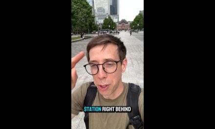 Automated Trading VS Algorithmic Trading VS Bot Trading in Tokyo