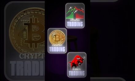 Stocks Vs Crypto vs Forex what to do?