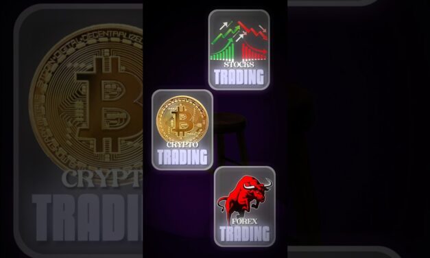 Stocks Vs Crypto vs Forex what to do?